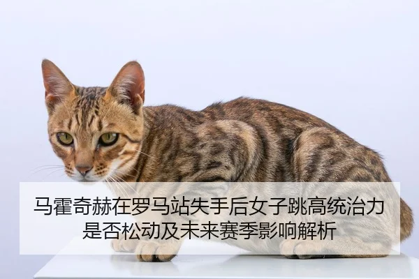 马霍奇赫在罗马站失手后女子跳高统治力是否松动及未来赛季影响解析