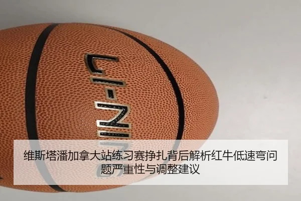 维斯塔潘加拿大站练习赛挣扎背后解析红牛低速弯问题严重性与调整建议