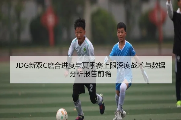 JDG新双C磨合进度与夏季赛上限深度战术与数据分析报告前瞻